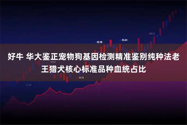 好牛 华大鉴正宠物狗基因检测精准鉴别纯种法老王猎犬核心标准品种血统占比