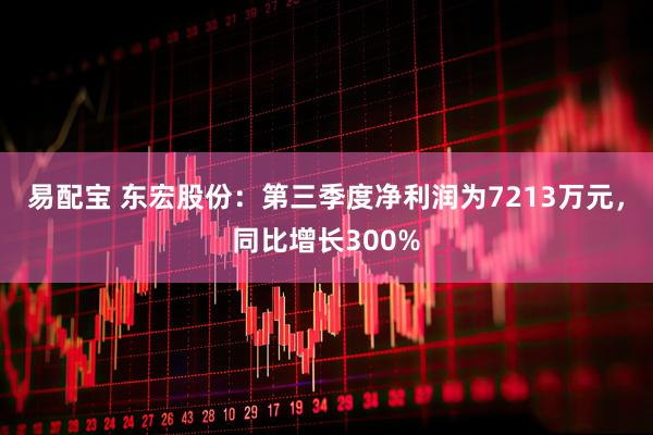 易配宝 东宏股份：第三季度净利润为7213万元，同比增长300%