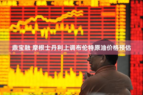 鼎宝融 摩根士丹利上调布伦特原油价格预估
